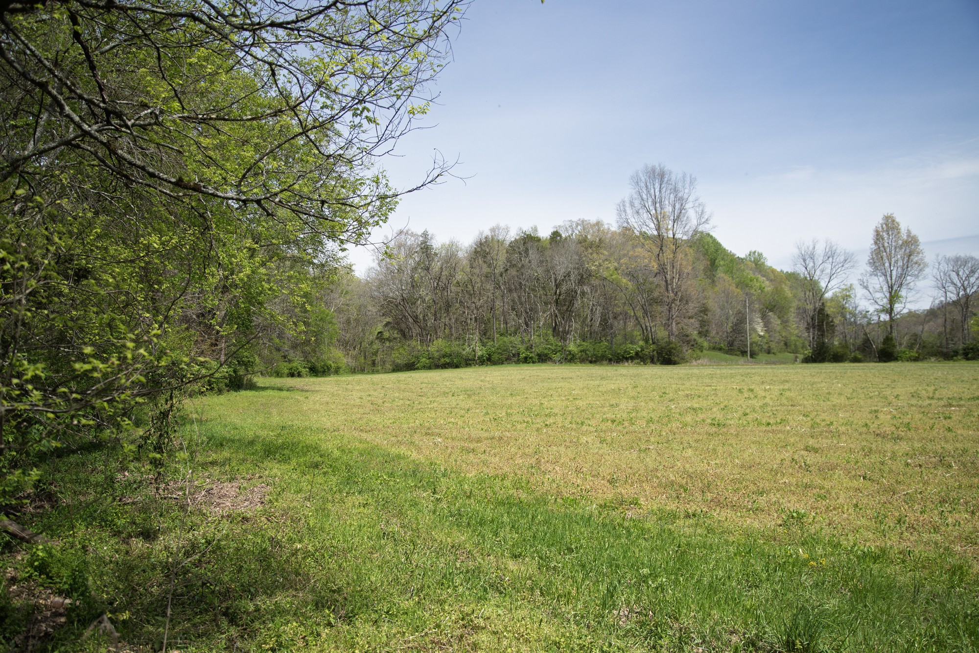 6607 Fox Branch Road Columbia, TN 38401 - Photo 38 of 45 a view of an outdoor space and a yard