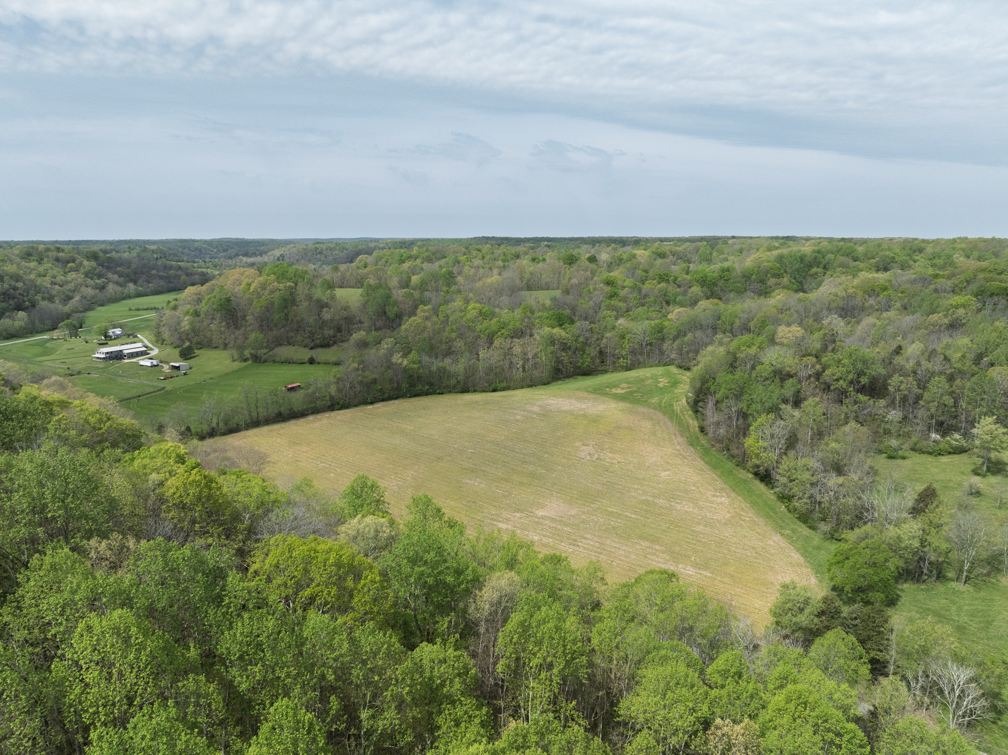 6607 Fox Branch Road Columbia, TN 38401 - Photo 40 of 45 a view of a field