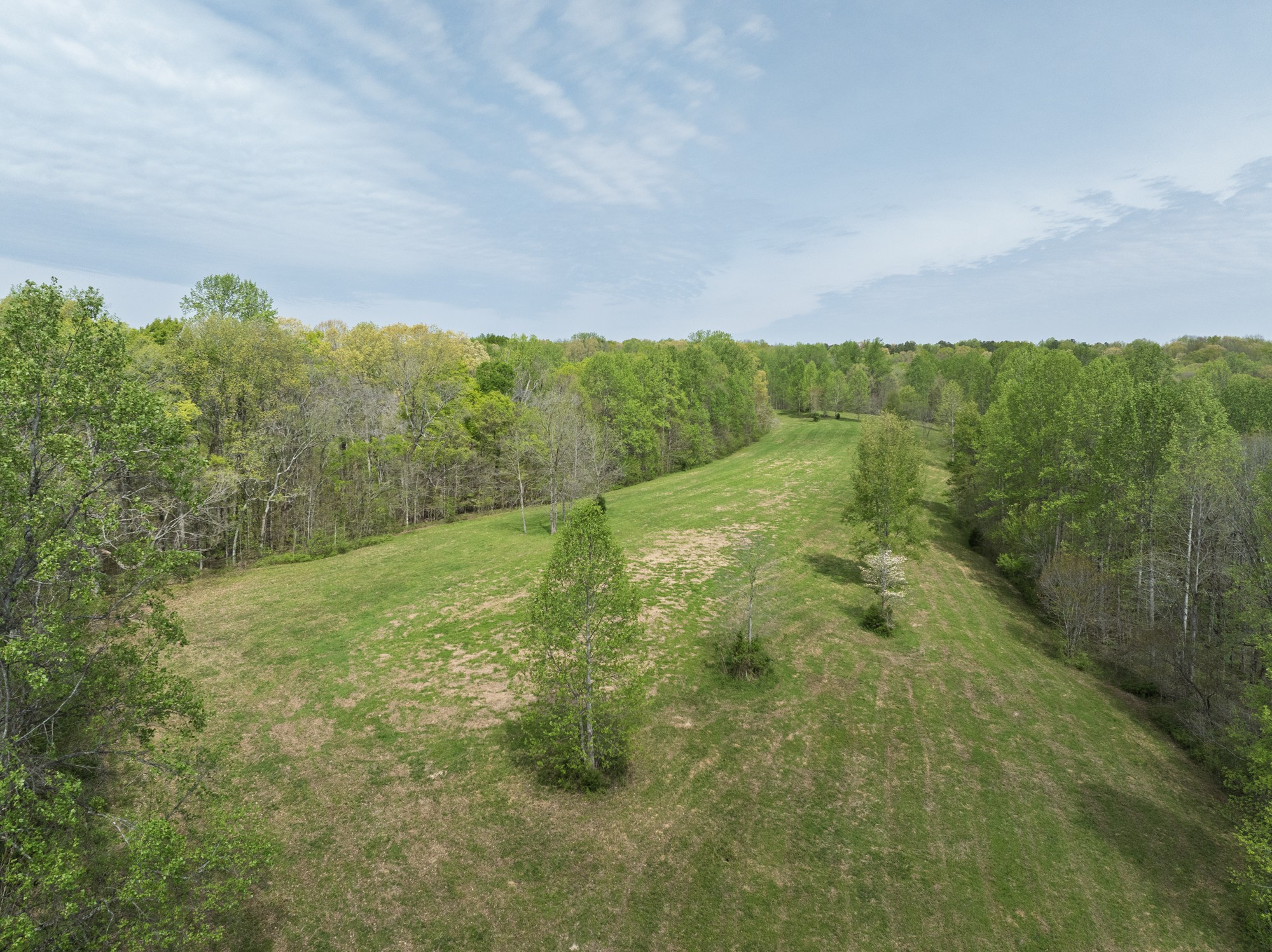 6607 Fox Branch Road Columbia, TN 38401 - Photo 42 of 45