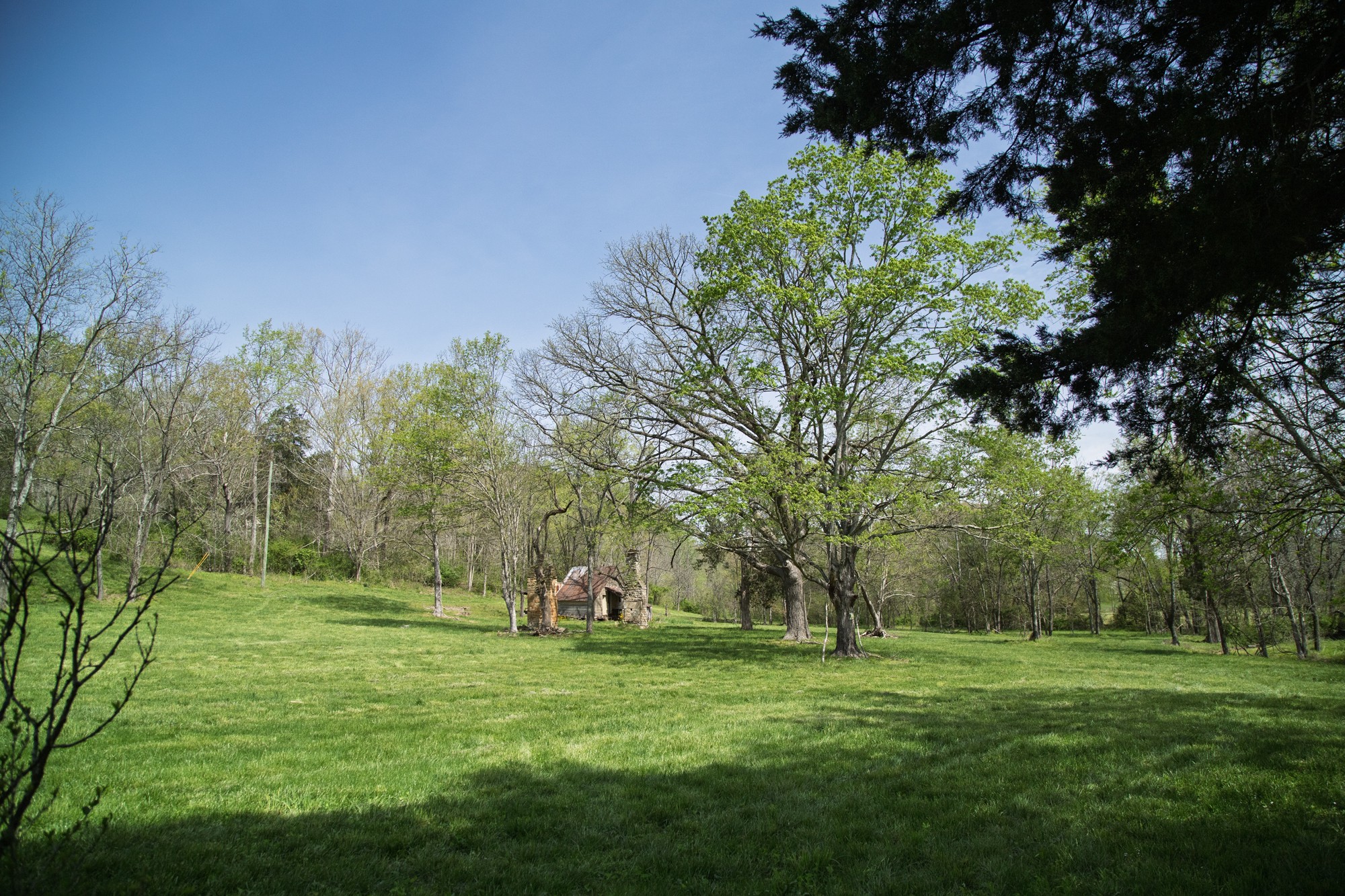 6607 Fox Branch Road Columbia, TN 38401 - Photo 8 of 45 a view of a park with large trees