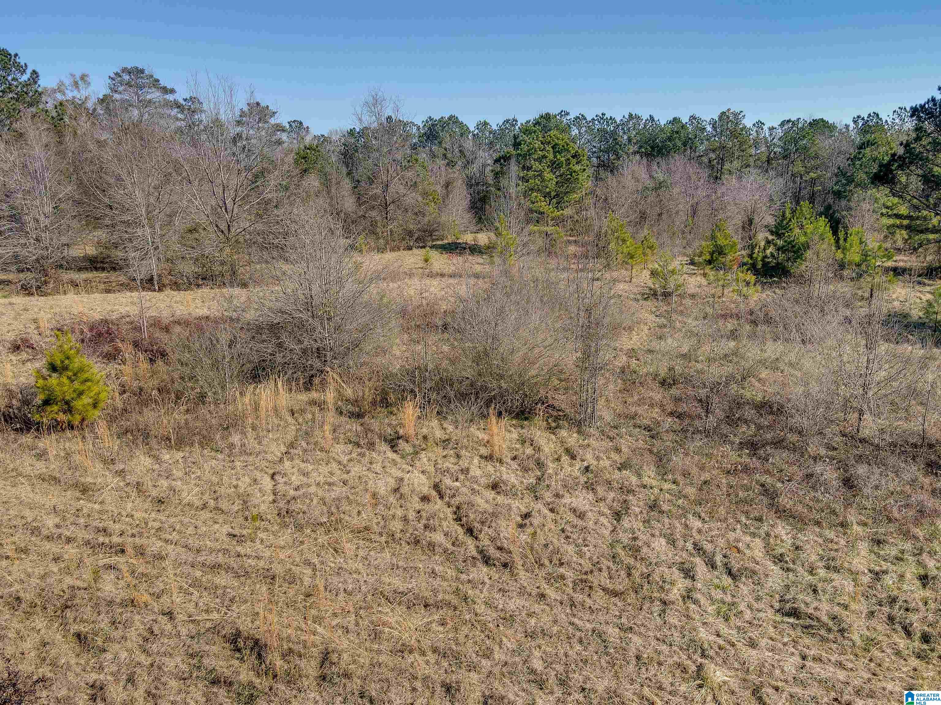 807 Yellow Leaf Road, Unit 1 Clanton, AL 35045 - Photo 15 of 18
