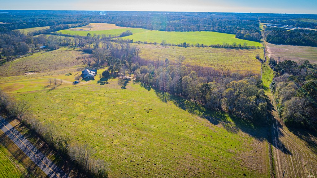 2833 Omussee Road Dothan, AL 36303 - Photo 44 of 51 Drone View
