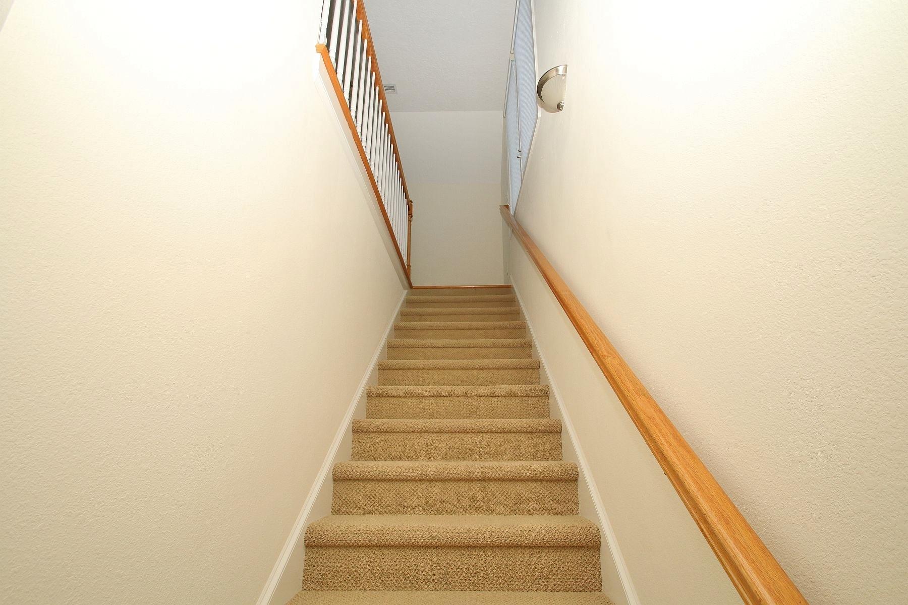 1961 Merriman Way Road Moneta, VA 24121 - Photo 30 of 58 Steps leading to the Bonus Room