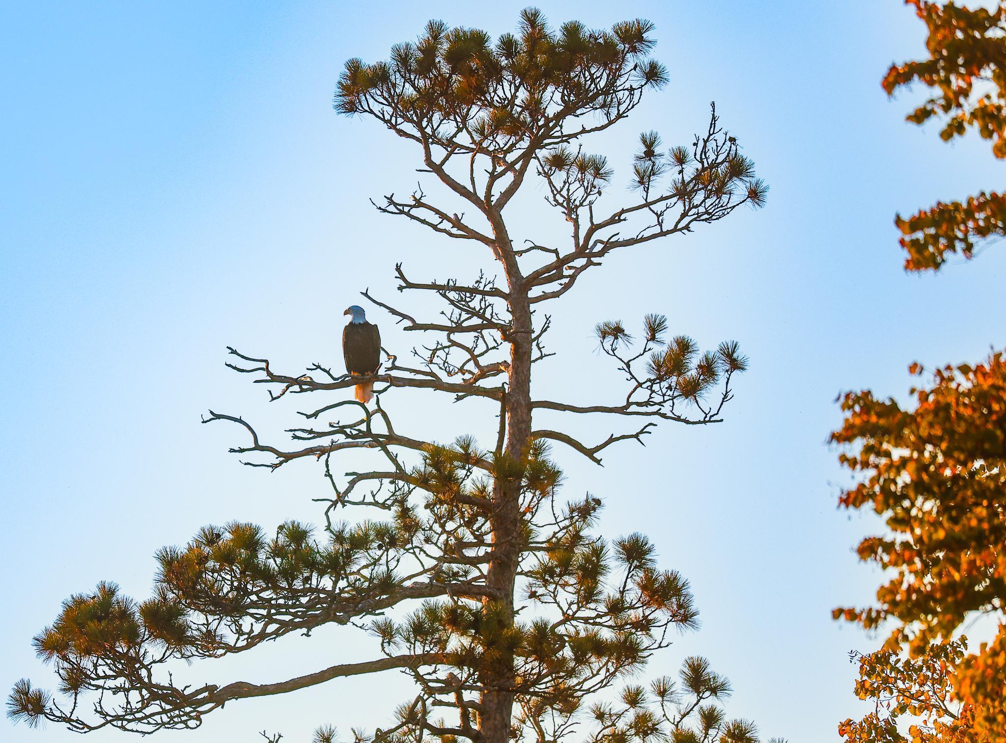 3108 Blackbird Road Northeast Cass Lake, MN 56633 - Photo 12 of 57