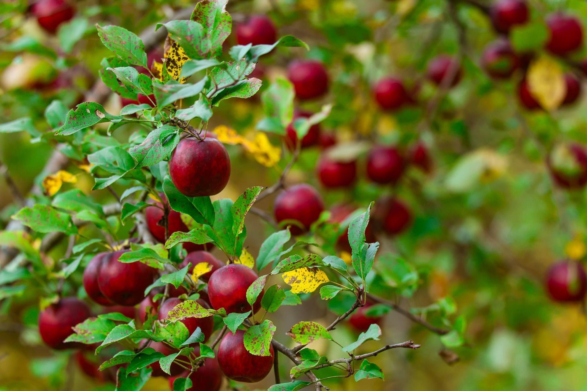 3108 Blackbird Road Northeast Cass Lake, MN 56633 - Photo 15 of 57