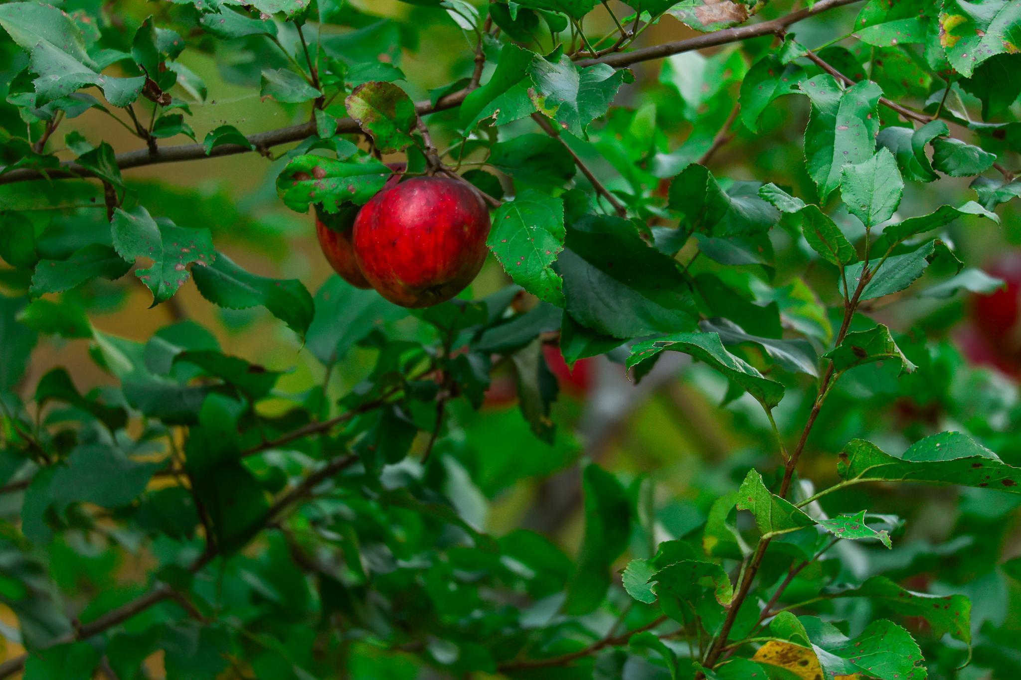 3108 Blackbird Road Northeast Cass Lake, MN 56633 - Photo 17 of 57