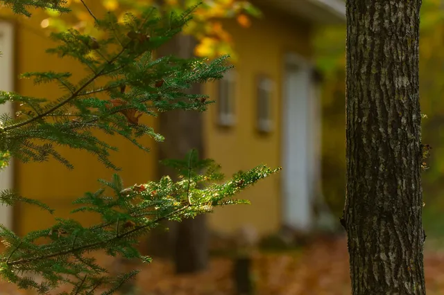 $119,500 | 3108 Blackbird Road Northeast, Cass Lake, MN 56633