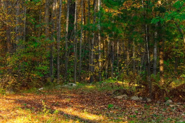 $119,500 | 3108 Blackbird Road Northeast, Cass Lake, MN 56633