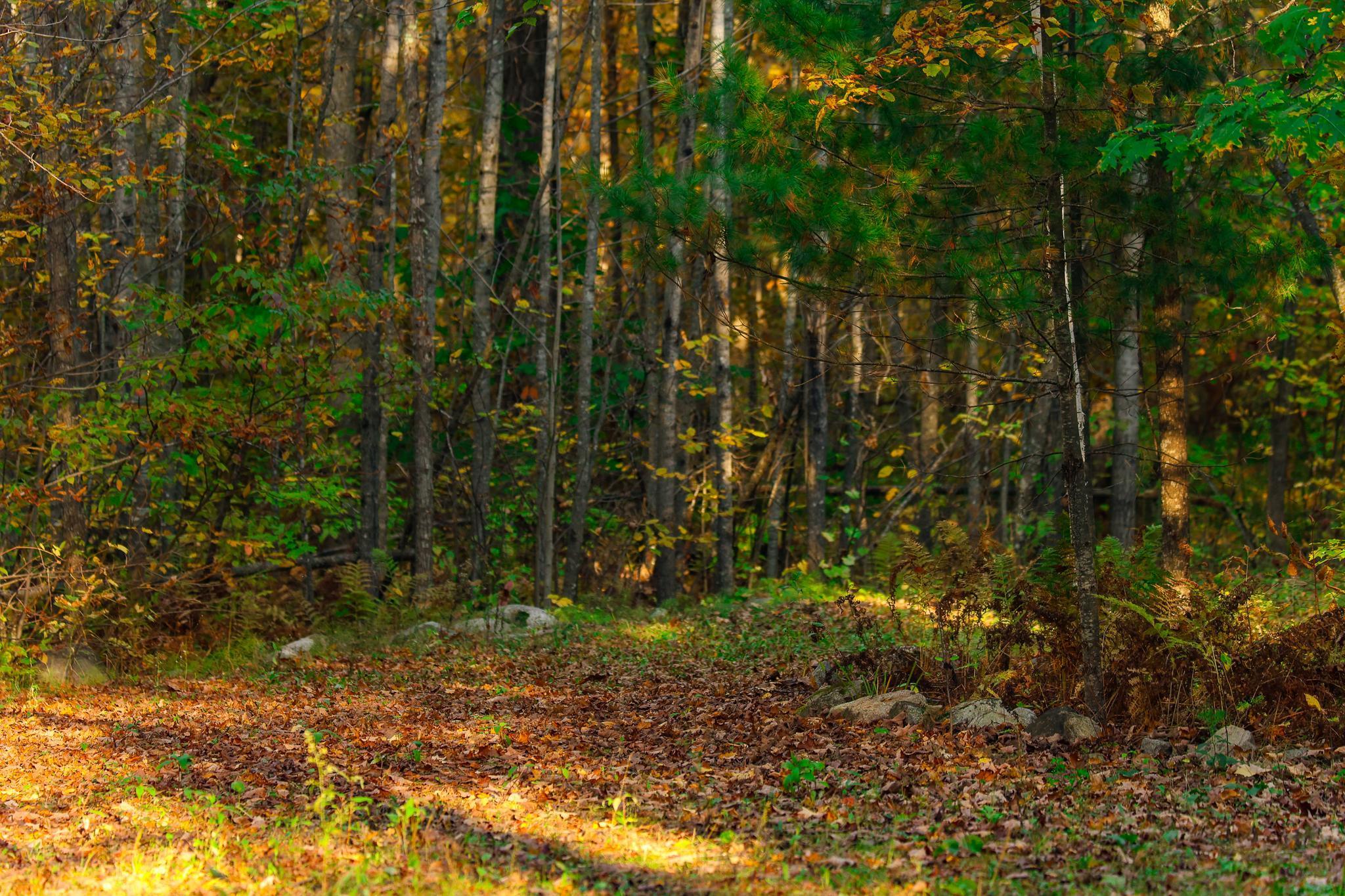 3108 Blackbird Road Northeast Cass Lake, MN 56633 - Photo 23 of 57