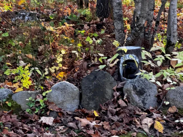 $119,500 | 3108 Blackbird Road Northeast, Cass Lake, MN 56633