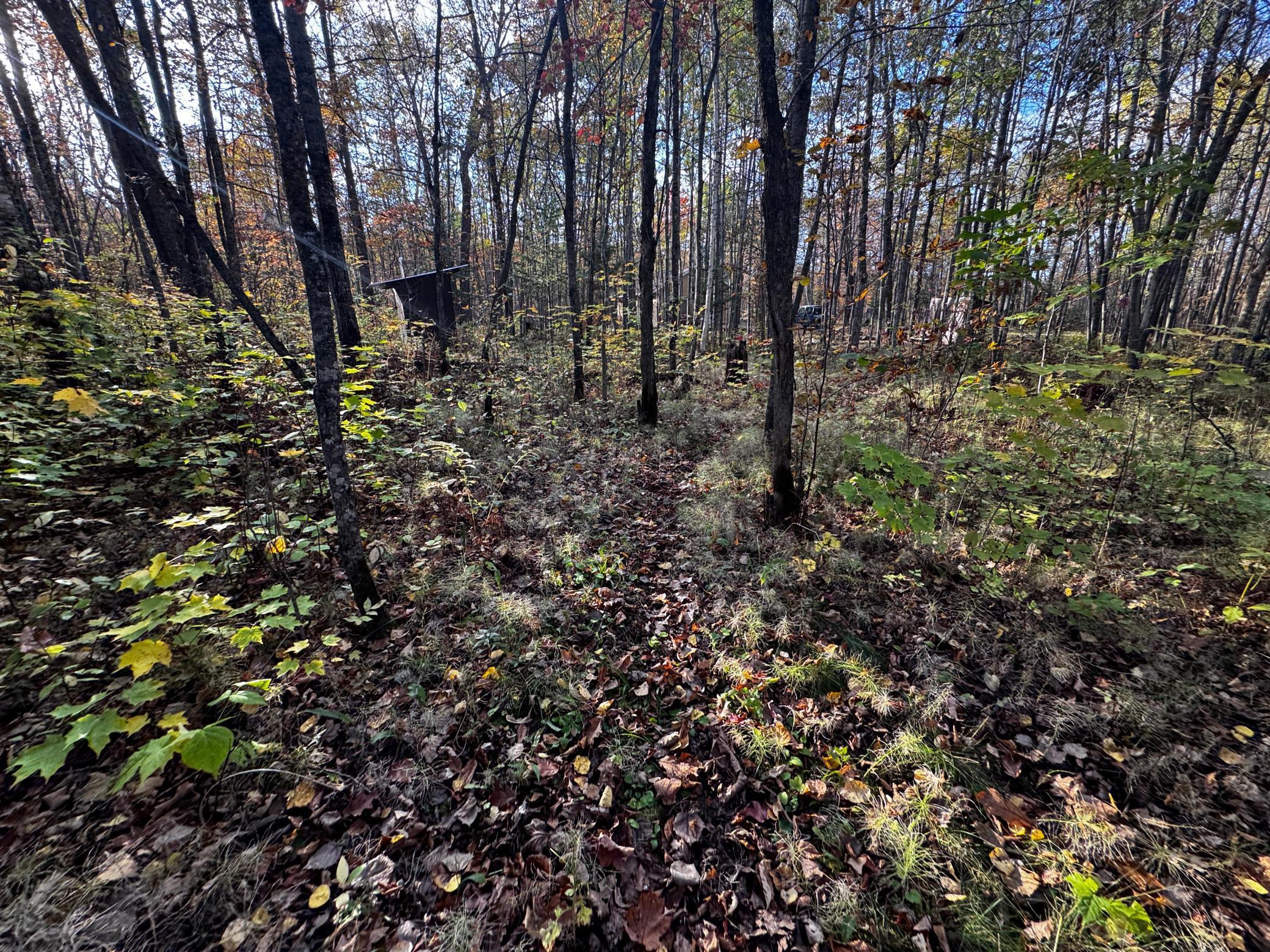 3108 Blackbird Road Northeast Cass Lake, MN 56633 - Photo 31 of 57