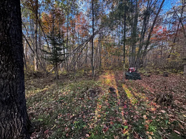 $119,500 | 3108 Blackbird Road Northeast, Cass Lake, MN 56633