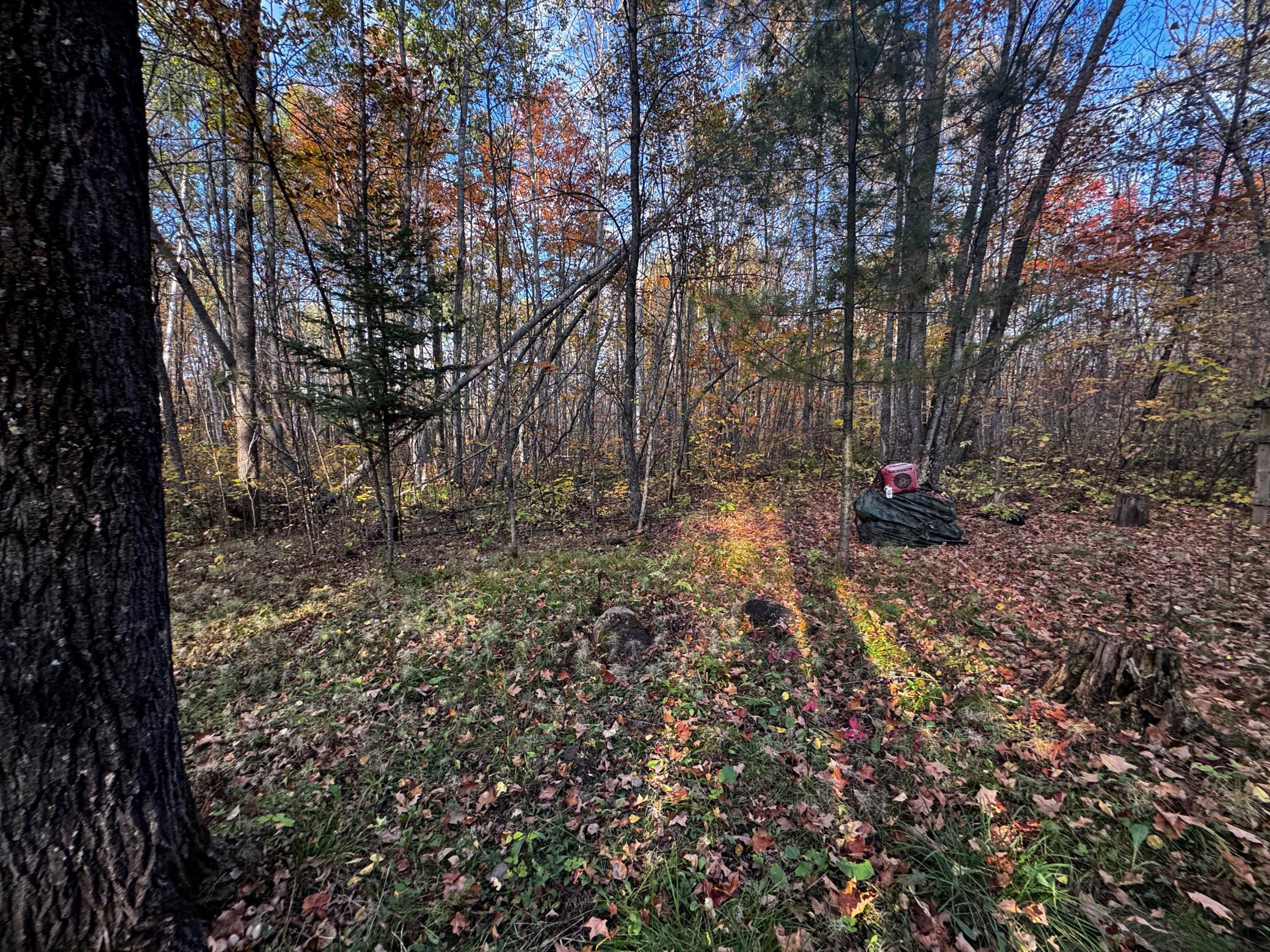 3108 Blackbird Road Northeast Cass Lake, MN 56633 - Photo 32 of 57