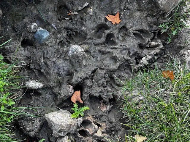 $119,500 | 3108 Blackbird Road Northeast, Cass Lake, MN 56633