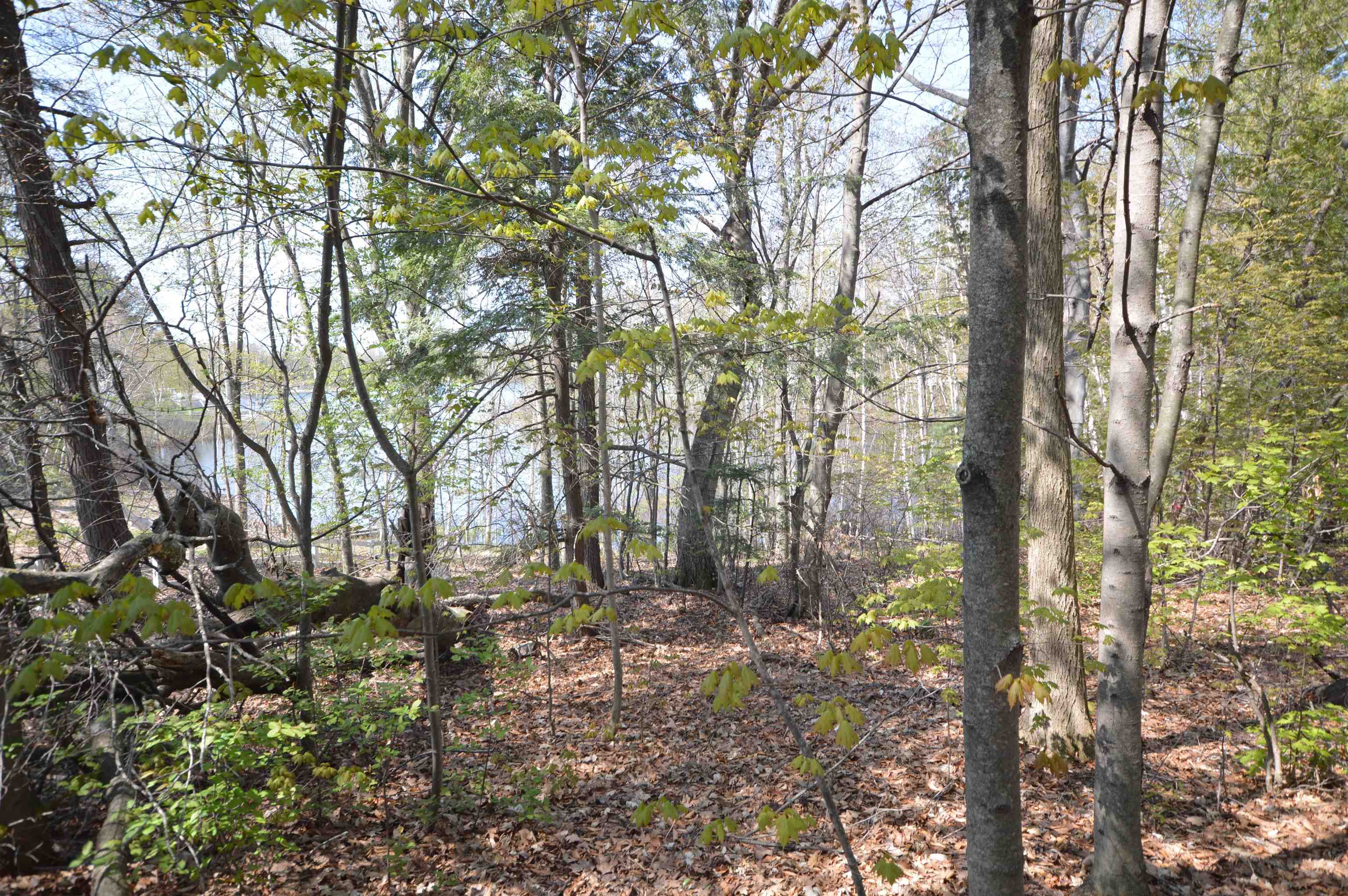 0 North East Silver Lake Road Traverse City, MI 49685 - Photo 18 of 27