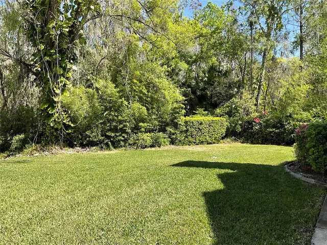 a view of field with trees in the background