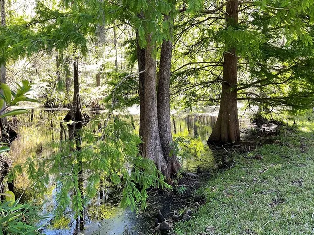 a view of outdoor space with lots of trees