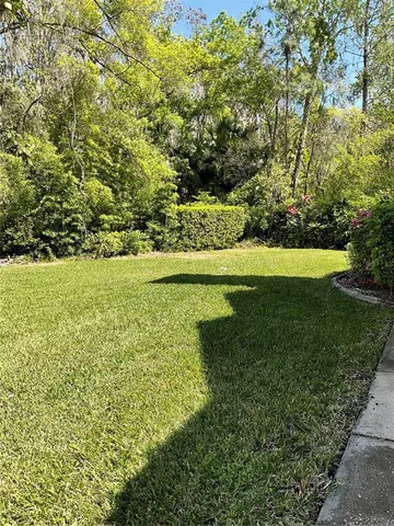 a view of an ocean from a yard