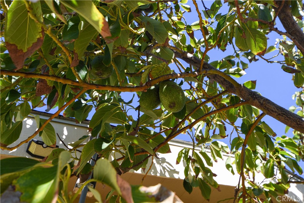 44607 Springwood Circle Hemet, CA 92544 - Photo 31 of 37