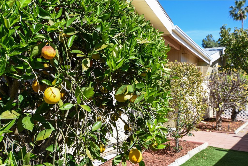 44607 Springwood Circle Hemet, CA 92544 - Photo 32 of 37