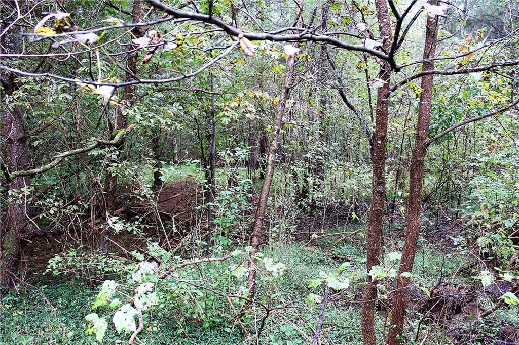 1387 Brandon Road Lenoir, NC 28645 - Photo 3 of 11 Gallery Image 3