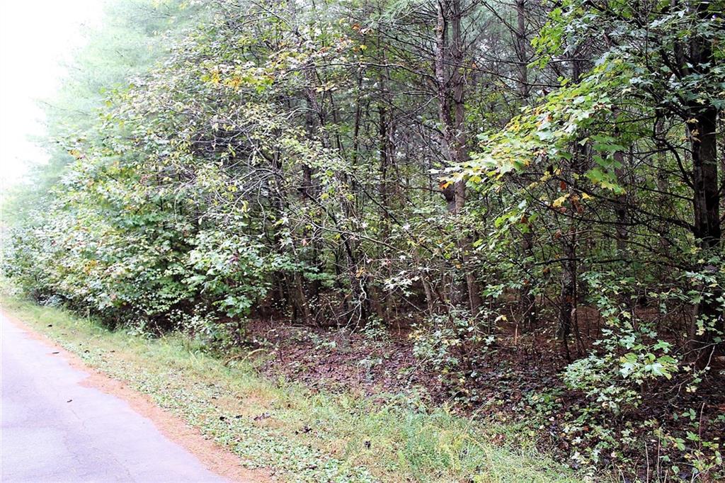 1387 Brandon Road Lenoir, NC 28645 - Photo 7 of 11 Gallery Image 7