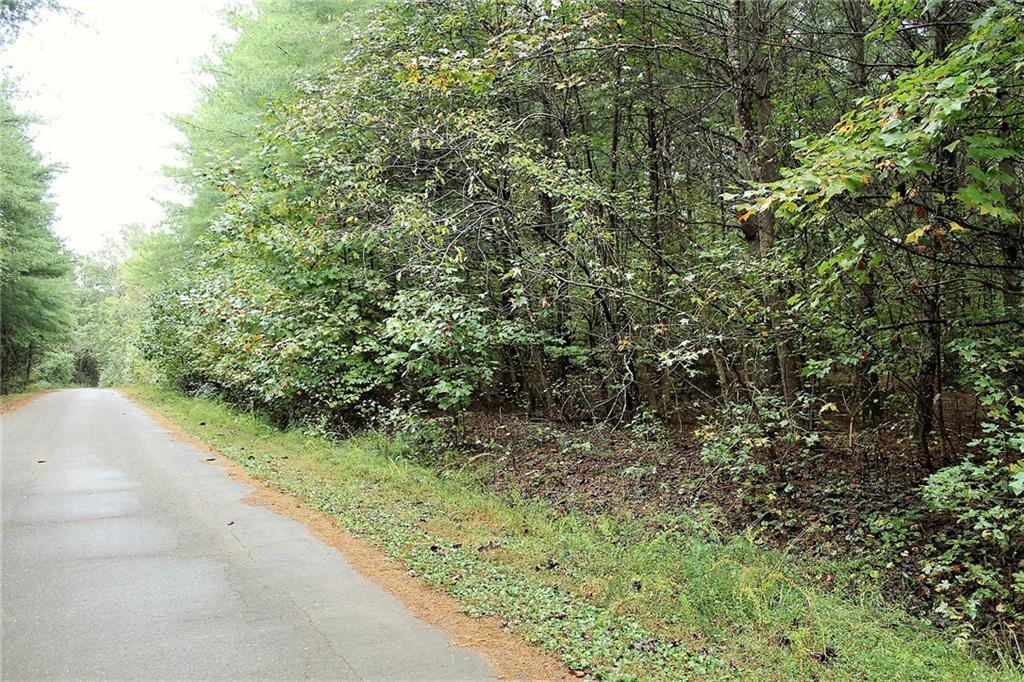1387 Brandon Road Lenoir, NC 28645 - Photo 8 of 11 Gallery Image 8