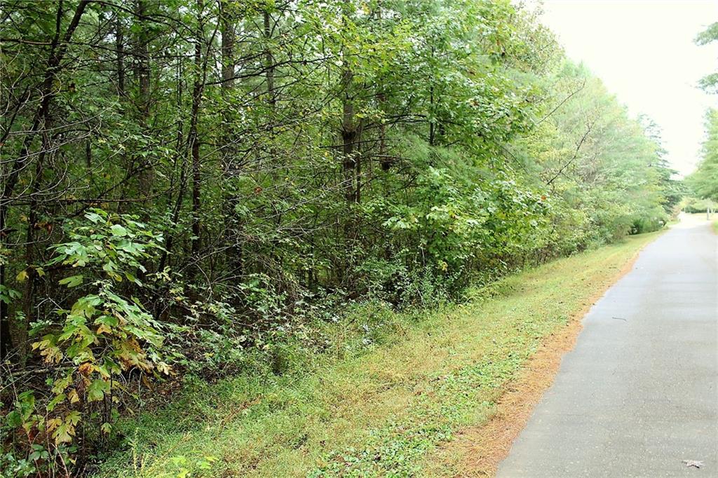 1387 Brandon Road Lenoir, NC 28645 - Photo 9 of 11 Gallery Image 9