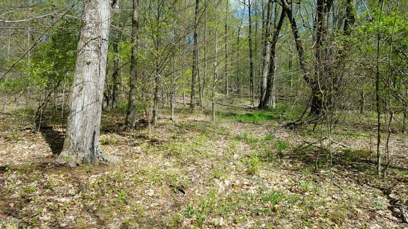 376 Wescott Road Tyler Hill, PA 18469 - Photo 6 of 8