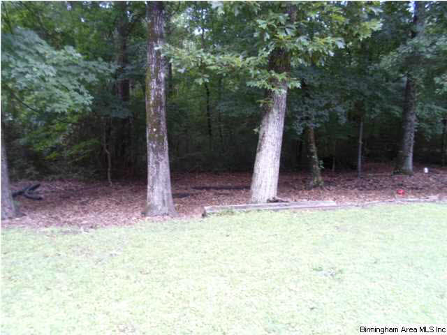 2302 Kristen Circle Pelham, AL 35124 - Photo 20 of 28