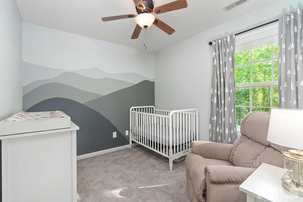 507 Firefly Road Holly Springs, NC 27540 - Photo 17 of 30 Gallery Image 17