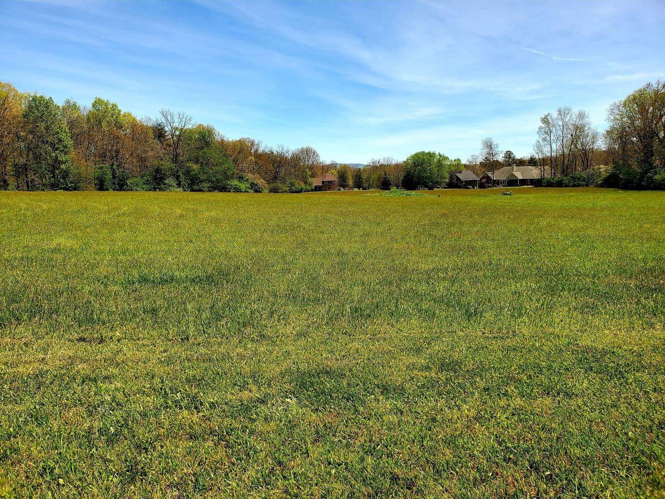 Lot 46 Sycamore Road Crossville, TN 38555 - Photo 1 of 13 Lot 46 Sycamore Dr pic 7
