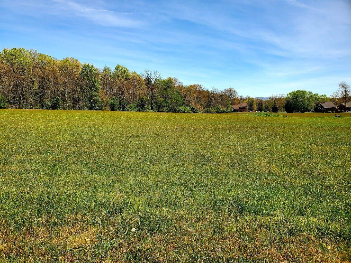 Lot 46 Sycamore Road Crossville, TN 38555 - Photo 7 of 13 Lot 46 Sycamore Dr pic 4