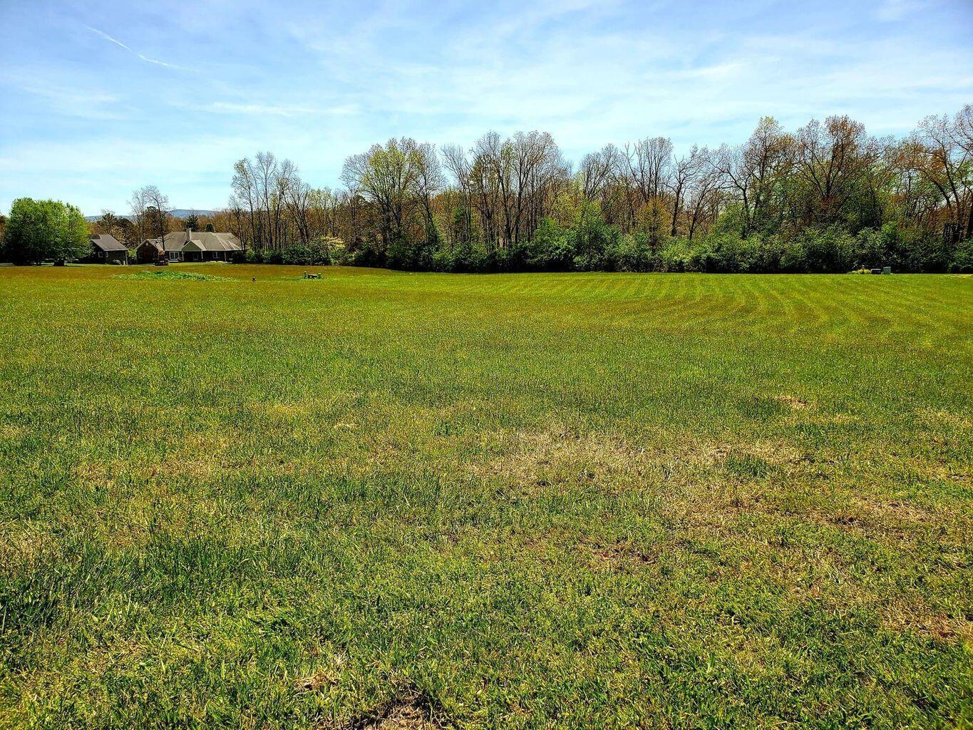 Lot 46 Sycamore Road Crossville, TN 38555 - Photo 9 of 13 Lot 46 Sycamore Dr pic 6