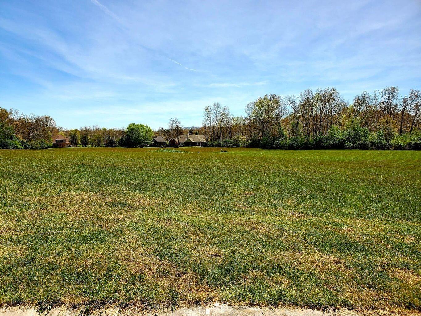 Lot 46 Sycamore Road Crossville, TN 38555 - Photo 10 of 13 Lot 46 Sycamore Dr pic 8