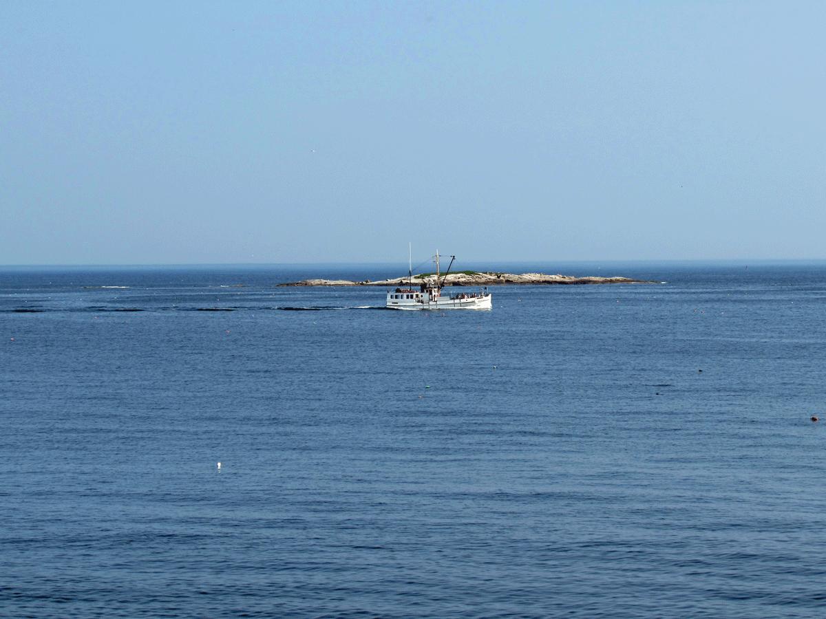 149 Marshall Point Road Tenants Harbor, ME 04860 - Photo 3 of 8 149mbl