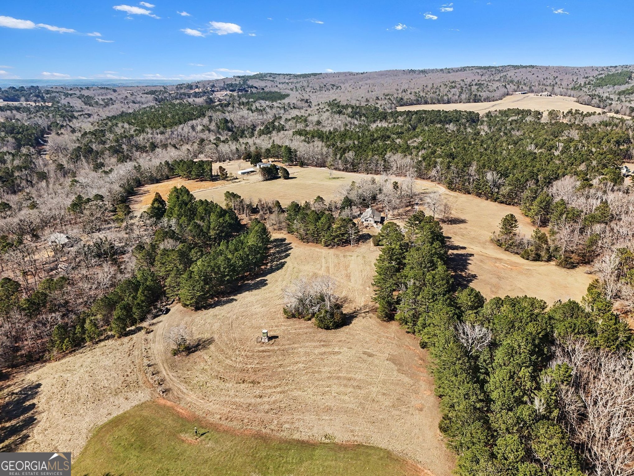 0 Vineyard Road Thomaston, GA 30286 - Photo 7 of 40