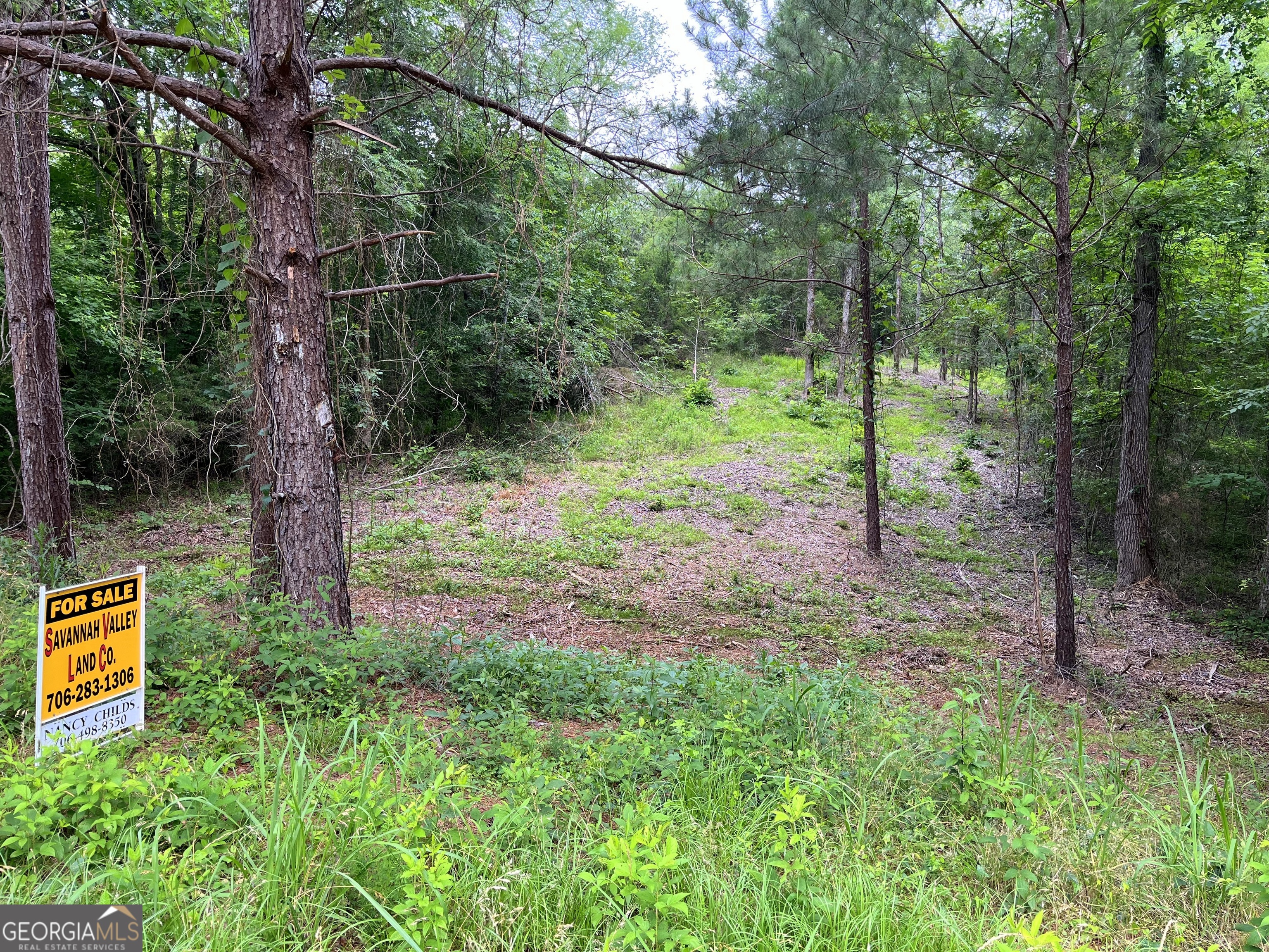 Lot 37 Russel Ridge Elberton, GA 30635 - Photo 1 of 1 a view of a forest with trees