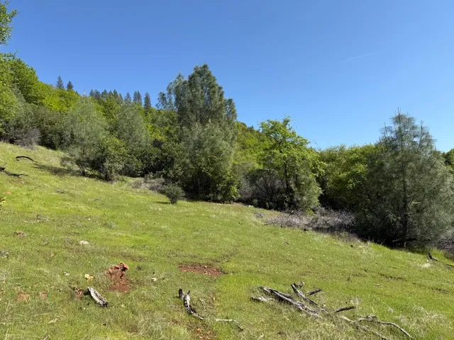 $80,000 | 14864 Stage Way, Dobbins, CA 95935