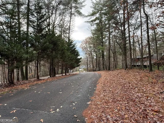 a view of a backyard of the house