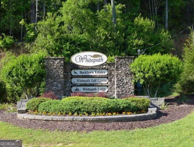 a view of a pathway of a garden