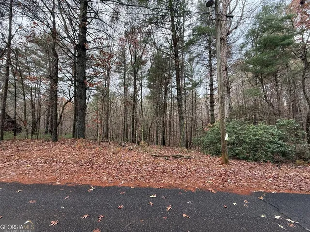 a view of a yard with trees in the background