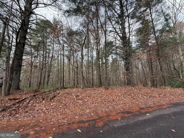 a view of a yard with trees