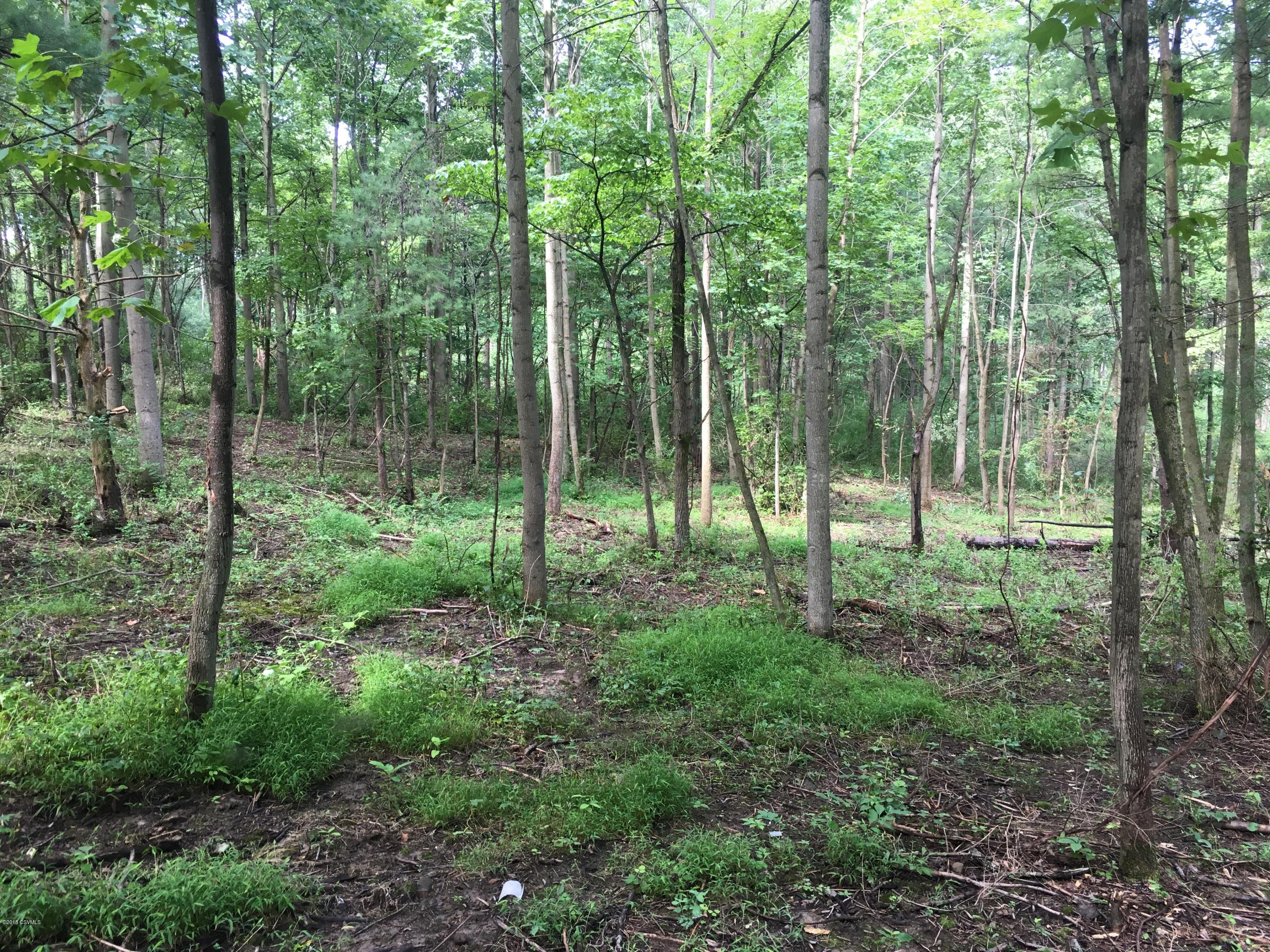 Lot No Lot Road Danville, PA 17821 - Photo 3 of 4 Gallery Image 3