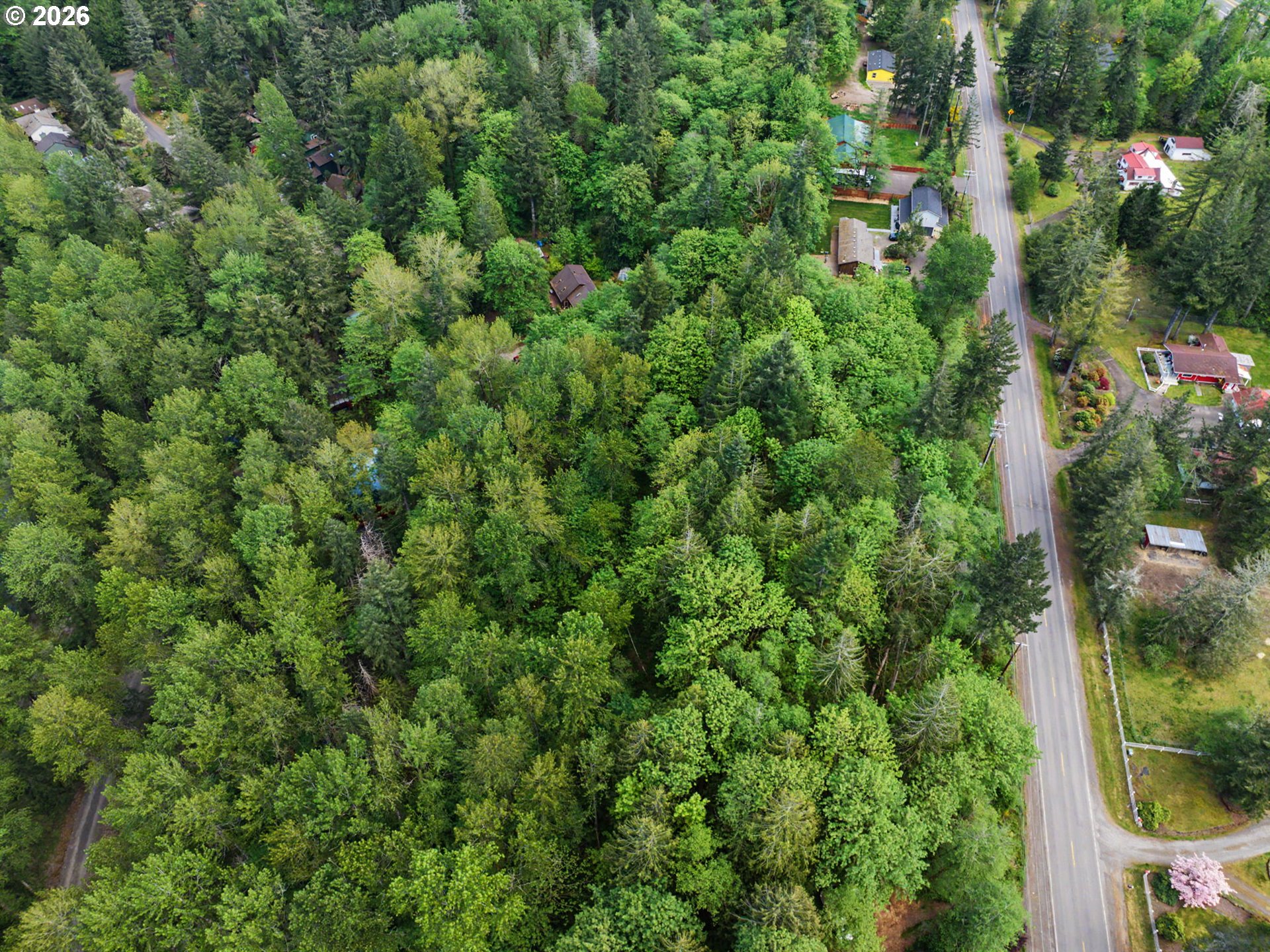 0 East Brightwood Loop Road Brightwood, OR 97011 - Photo 9 of 15