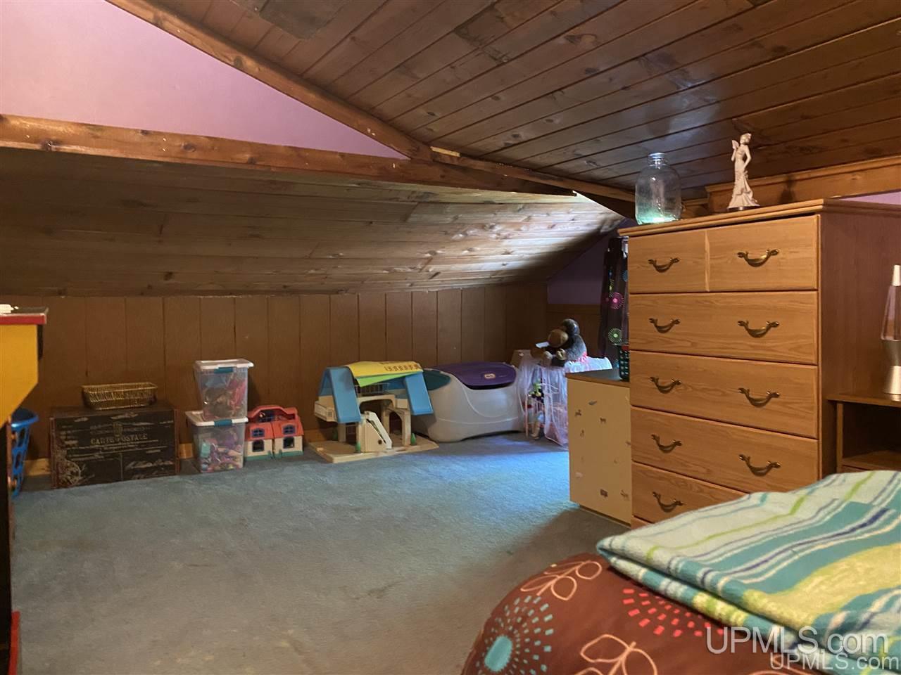 373 Town Hall Road Skandia, MI 49885 - Photo 33 of 47