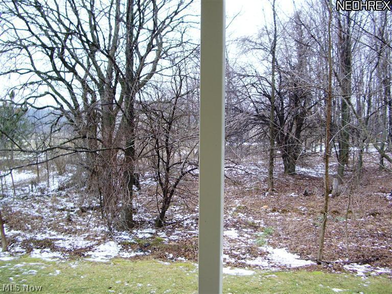 3520 Vandemark Road Litchfield, OH 44253 - Photo 16 of 25 3520 Vandemark, Litchfield, OH View from Master BR slider