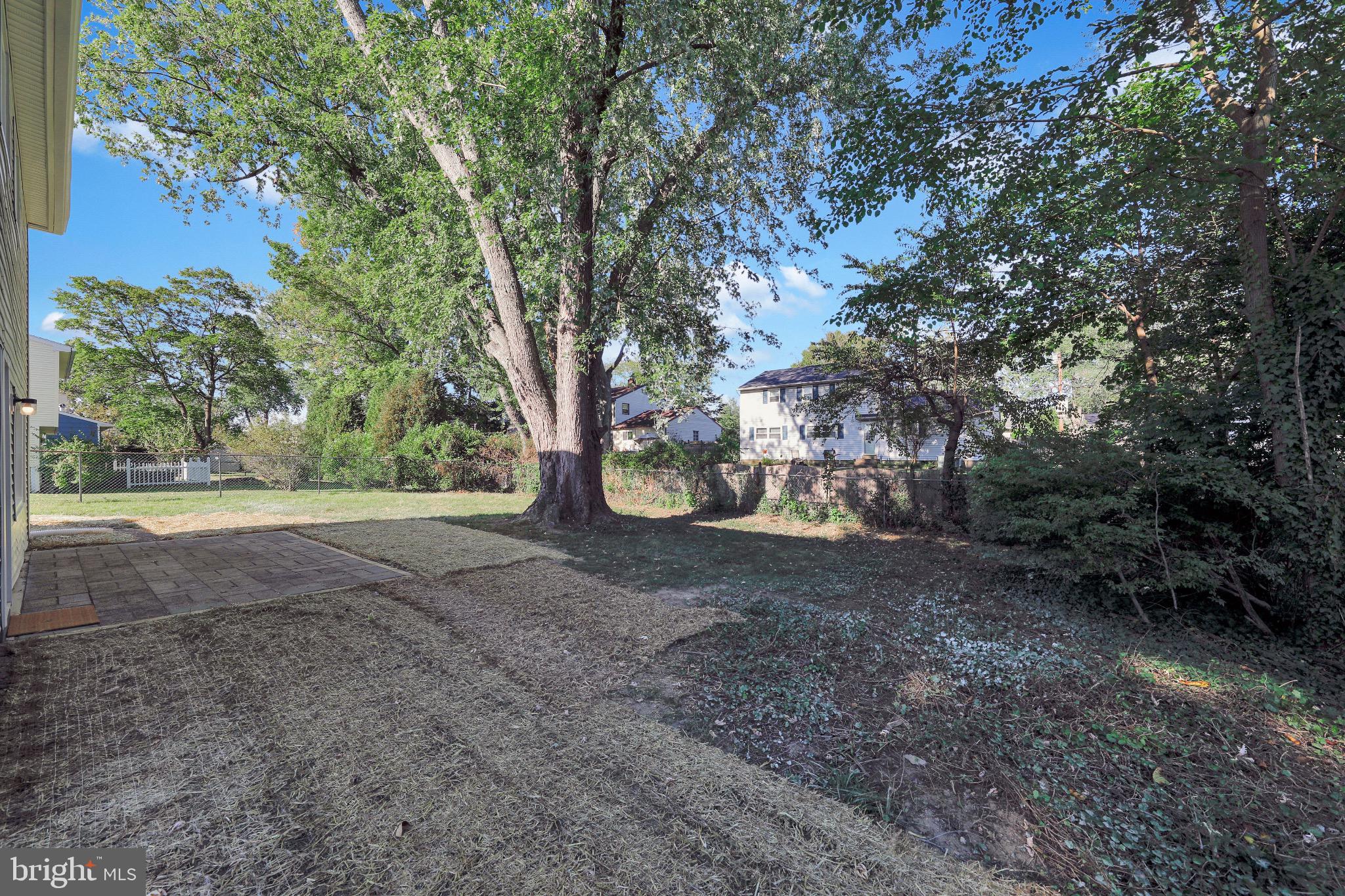 1538 Haddonfield-Berlin Road Cherry Hill, NJ 08003 - Photo 35 of 36 a view of a yard with a tree