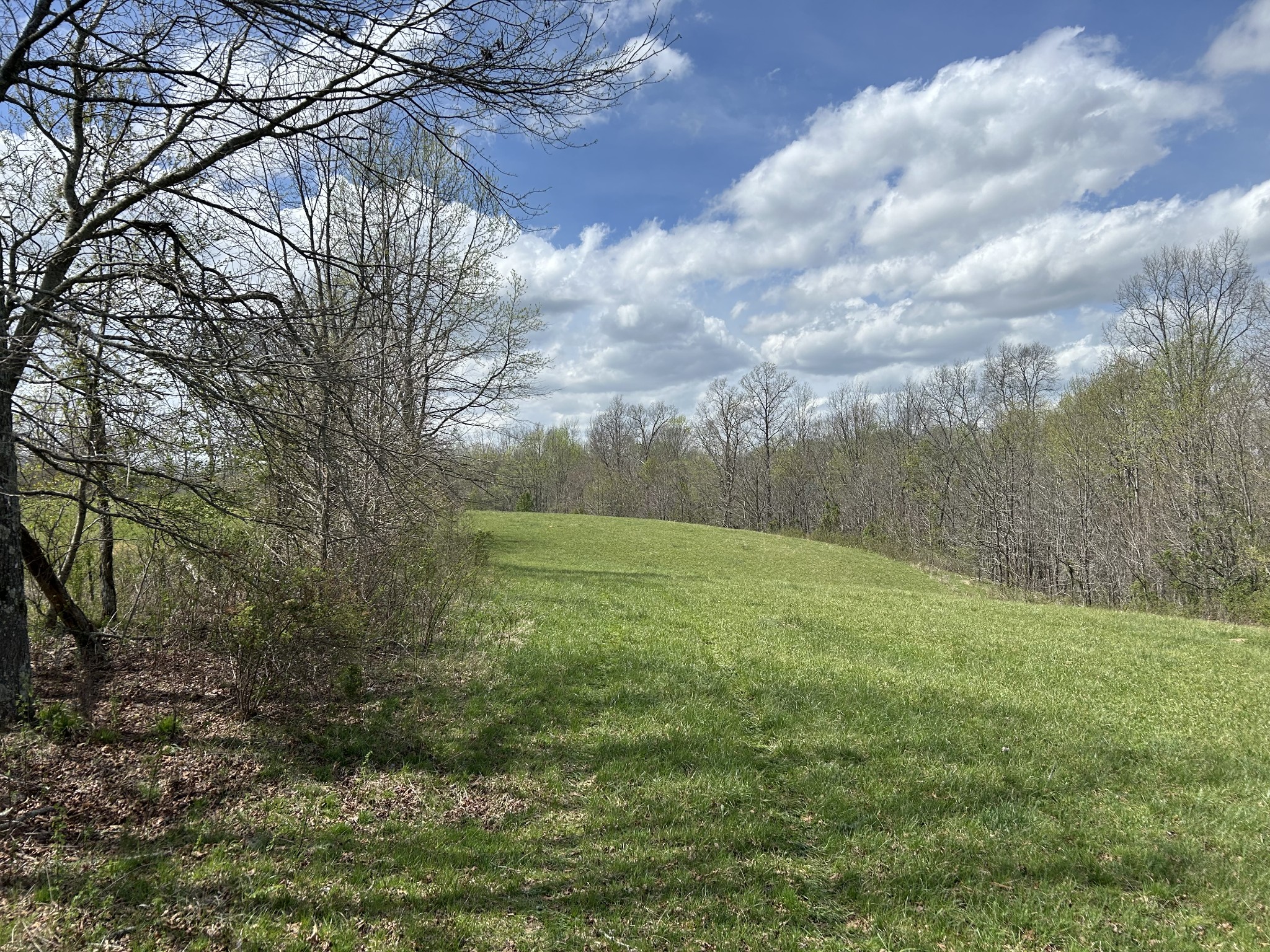 12343 Griffith Road Pikeville, TN 37367 - Photo 21 of 40