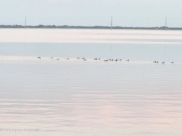 a view of a street with benches